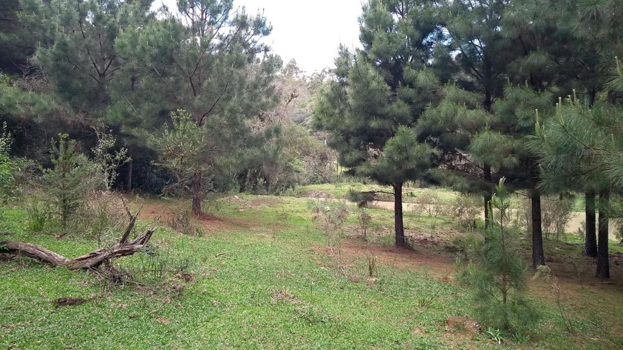 Chale Estancia Ouro Verde Lages Exterior foto